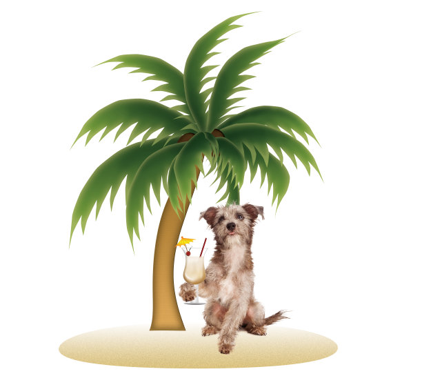 热带岛屿上的狗和菠萝朗姆酒图片下载