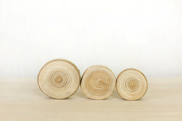 树的详细剖视图。图片下载