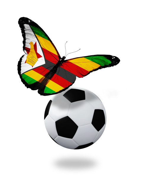概念-蝴蝶与津巴布韦国旗飞球附近图片下载