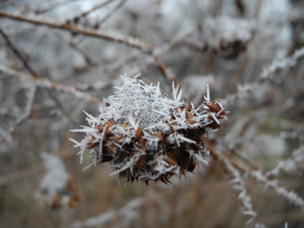 宏观的生活图片下载