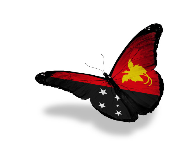 巴布亚新几内亚国旗蝴蝶飞舞，孤立在白背上图片下载