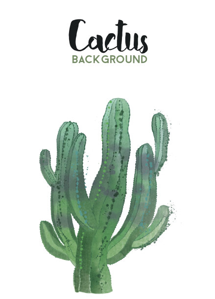 矢量水彩仙人掌背景图片下载