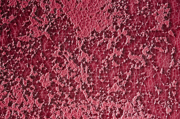 抽象的背景图片下载