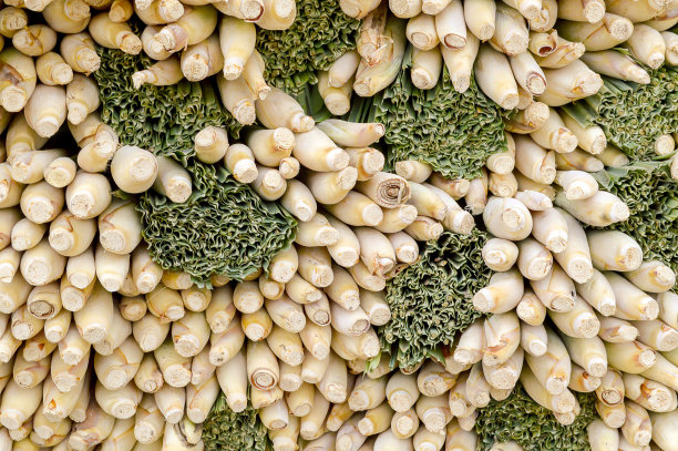 柠檬草图片下载