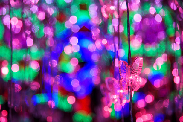 蝴蝶与粉红色抽象圆形散景图片下载