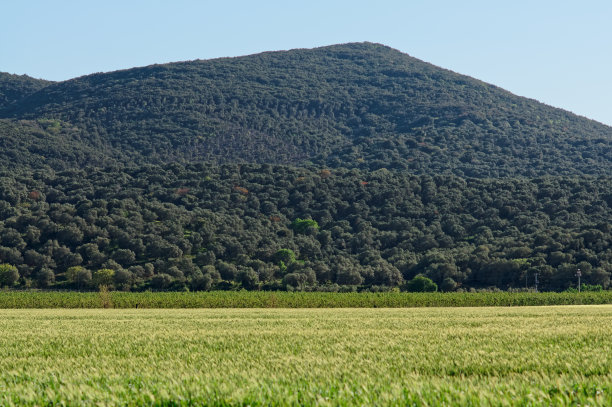 马雷马国家公园，意大利图片下载