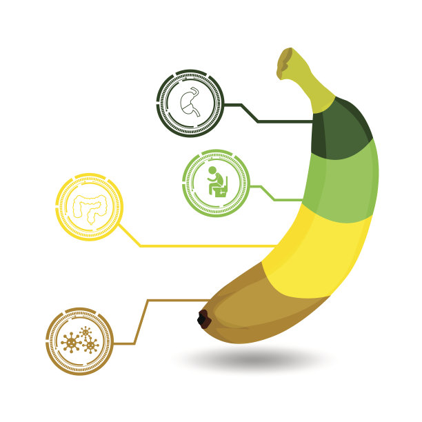 香蕉的健康益处信息图表。插图。图片下载