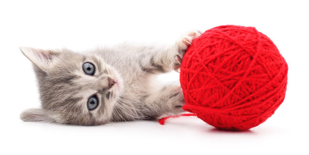 毛线团的小猫。图片下载