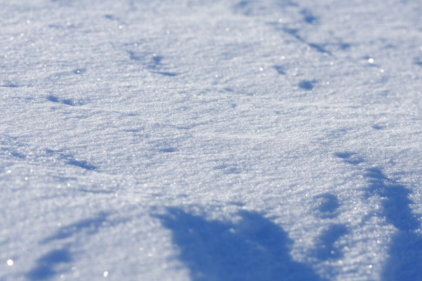 背景上闪烁着尘埃，超微距拍摄图片下载