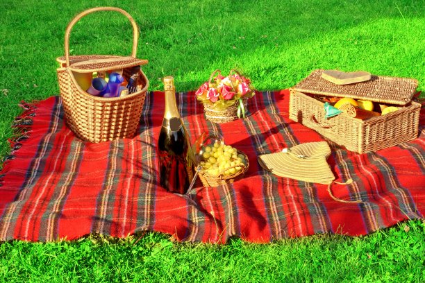 草坪上的夏日野餐图片下载