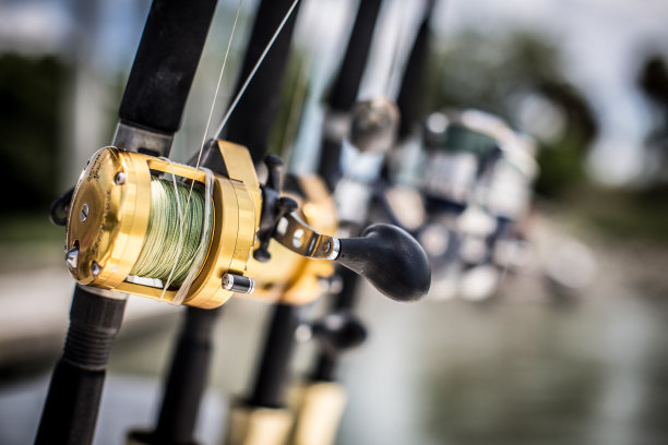 钓鱼卷图片下载