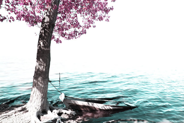 帕特拉发酵公园图片下载