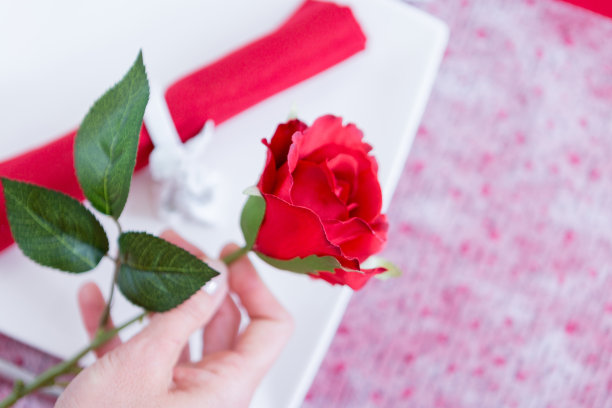 女人牵着玫瑰的特写图片下载