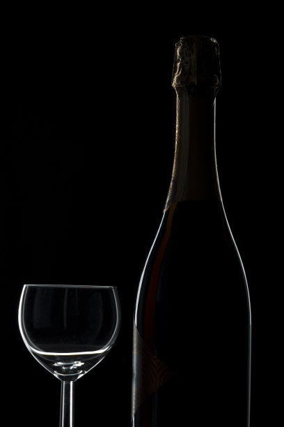 一瓶香槟和一杯葡萄酒图片下载