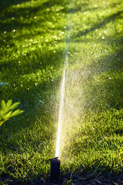 草坪洒水车在日落时喷水图片下载