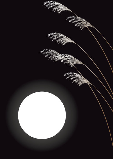 日本潘帕斯草和满月。日本的风景。图片下载