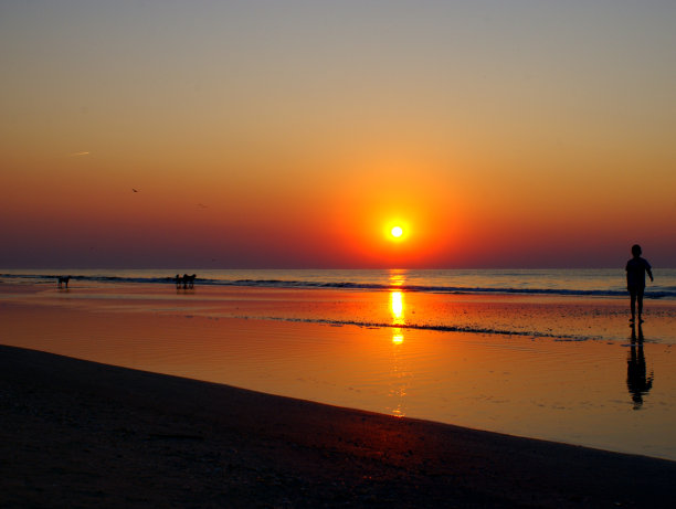 海上的剪影图片下载