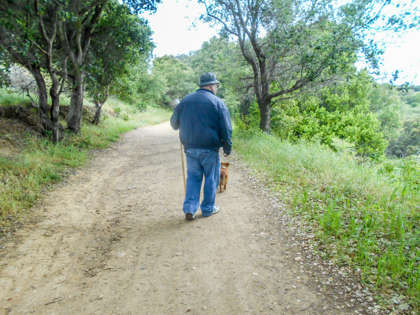 遛狗图片下载