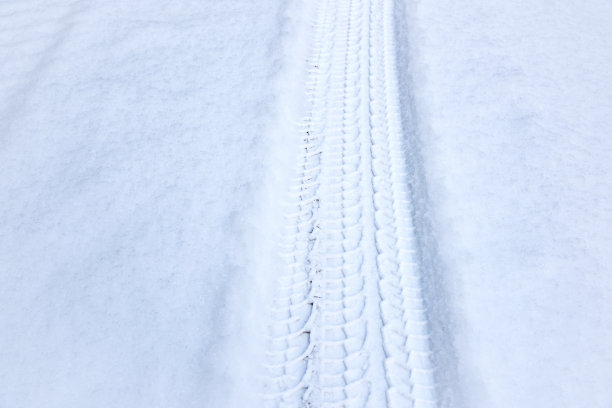 保护器雪的冬天图片下载