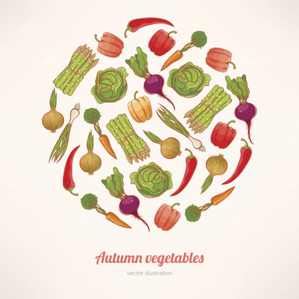 圆的蔬菜图片下载