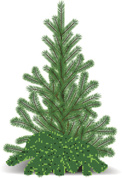 白雪覆盖的圣诞树在夜晚的森林里图片下载