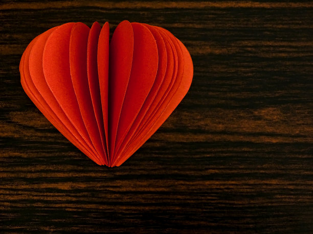 心从纸质书图片下载