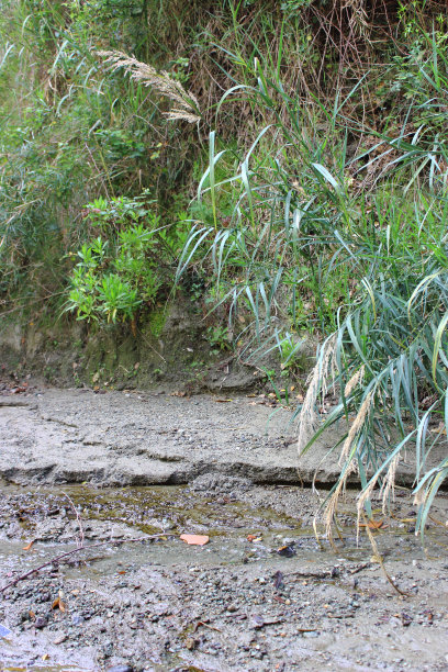 春天的泥土图片下载