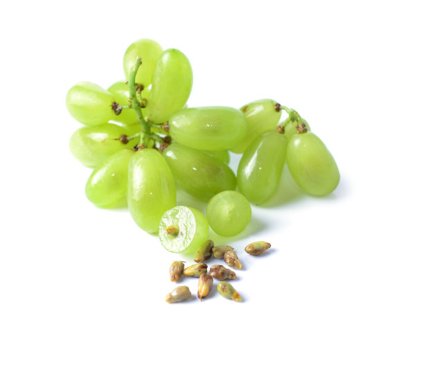 白色背景上的新鲜绿葡萄图片下载