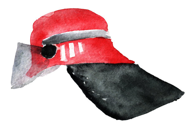 水彩素描消防头盔上的白色背景图片下载