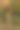 杆子上的公鸡图片下载