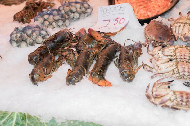 巴塞罗那利市场图片下载