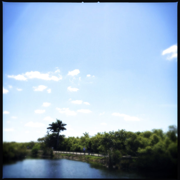 美国佛罗里达州的大沼泽地国家公园图片下载