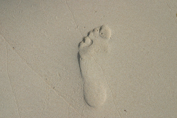 踩在湿沙上图片下载