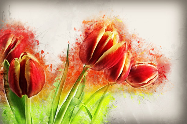 枯燥乏味的郁金香的图片图片下载