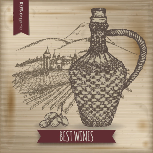 葡萄酒模板与瓶子，葡萄园和城堡。图片下载