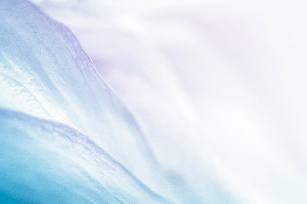 彩色莲花在柔和的颜色和模糊的风格图片下载