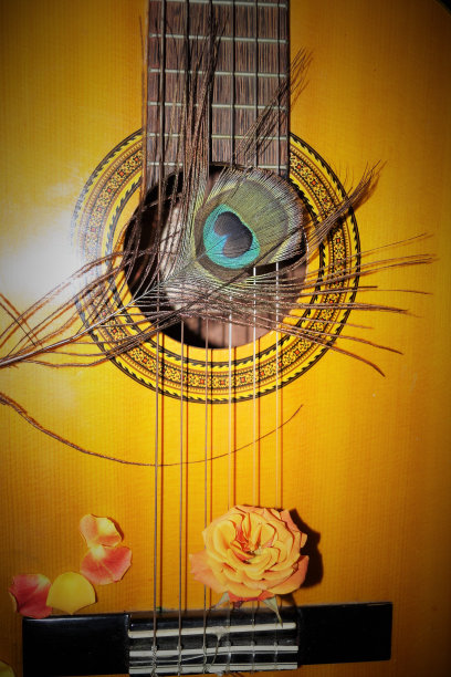 静物构图图片下载