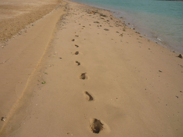 沙滩上的脚印图片下载