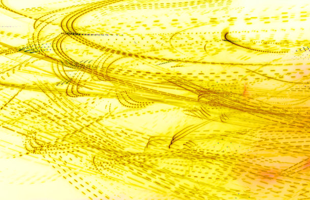 彩色LED灯线隔离图片下载