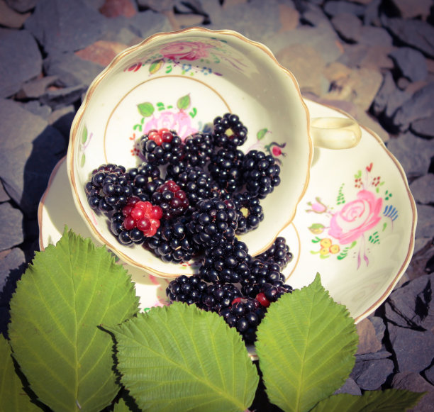 杯子里的黑莓图片下载