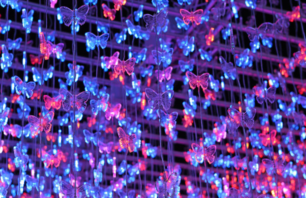 美丽的LED照明装饰秀。图片下载