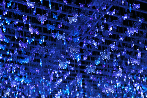 美丽的LED照明装饰秀。图片下载