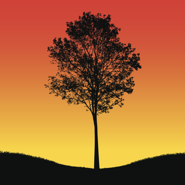 树的轮廓图片下载