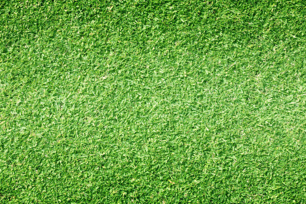 草地背景高尔夫球场绿色草坪图片下载