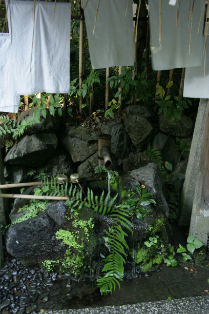 Kakehi竹泉图片下载