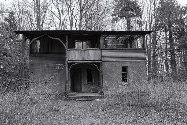 森林里的废弃房屋图片下载