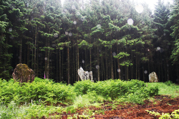 Blackpark石圈图片下载