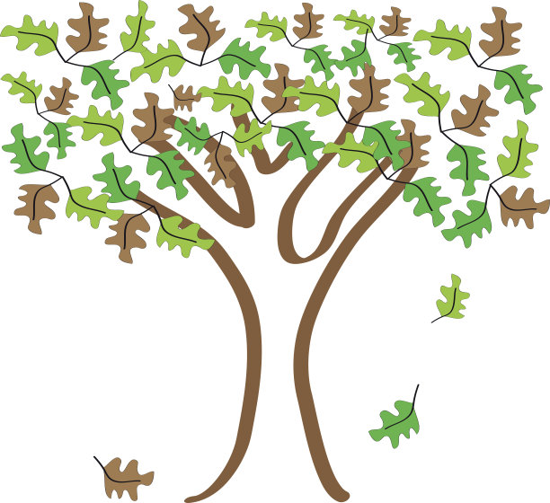 树和绿色，黄色和棕色的叶子在白色的背景。矢量插图。图片下载