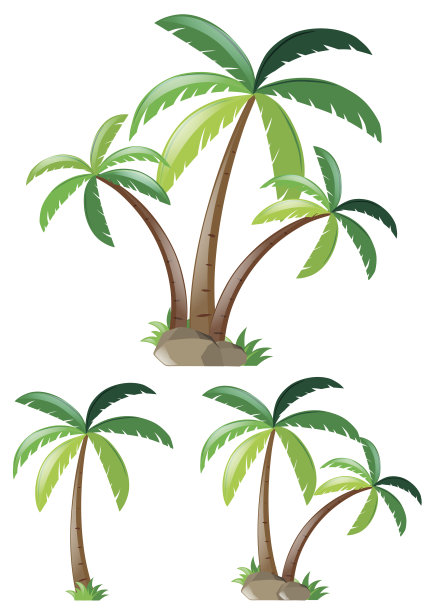 不同形状的椰子树图片下载