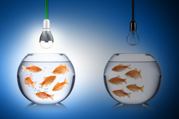 鱼的能量图片下载